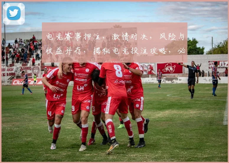 电竞赛事押注，激情对决，风险与收益并存，揭秘电竞投注攻略，必看