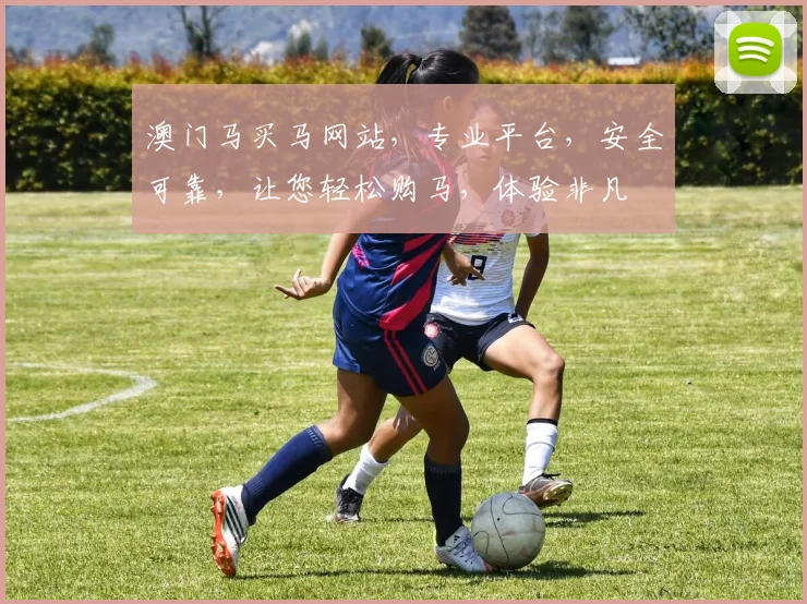 澳门马买马网站，专业平台，安全可靠，让您轻松购马，体验非凡
